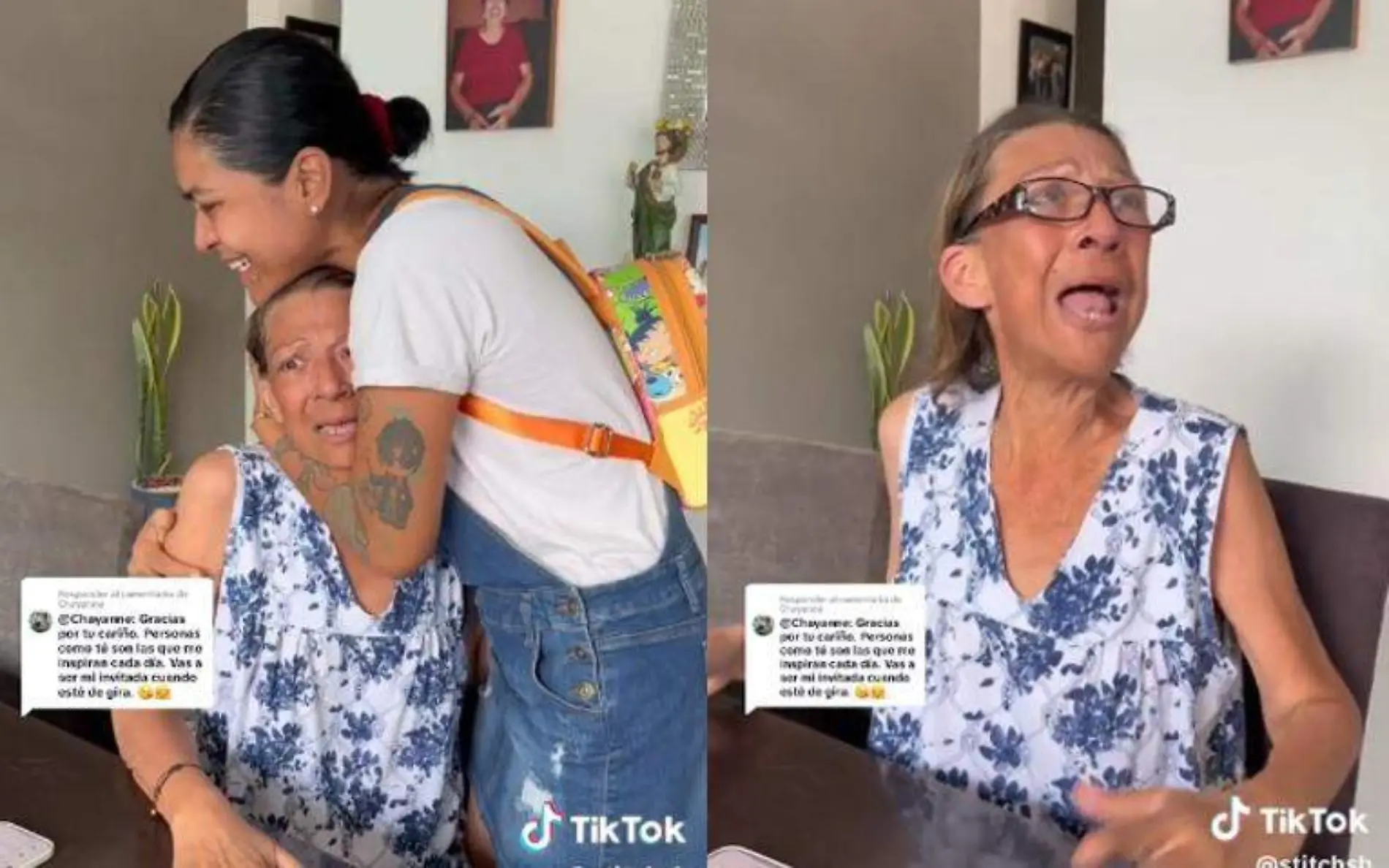 Chayanne le cumplió uno de sus más grandes anhelos a una abuelita que enfrenta cáncer de colón Captura de pantalla TikTok